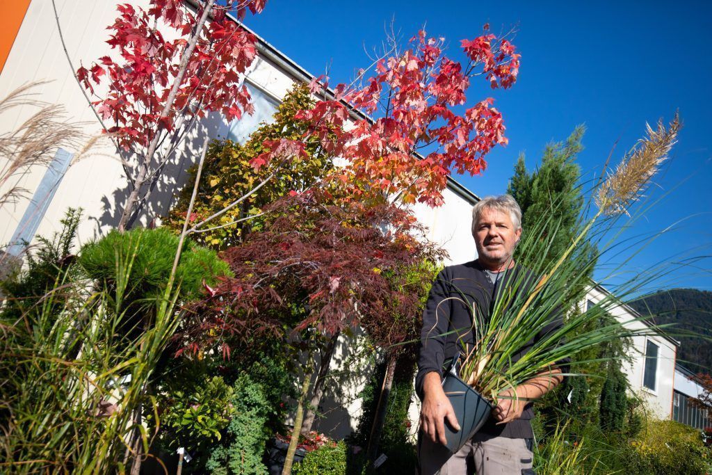 Blühende Hingucker in herbstlicher Zeit