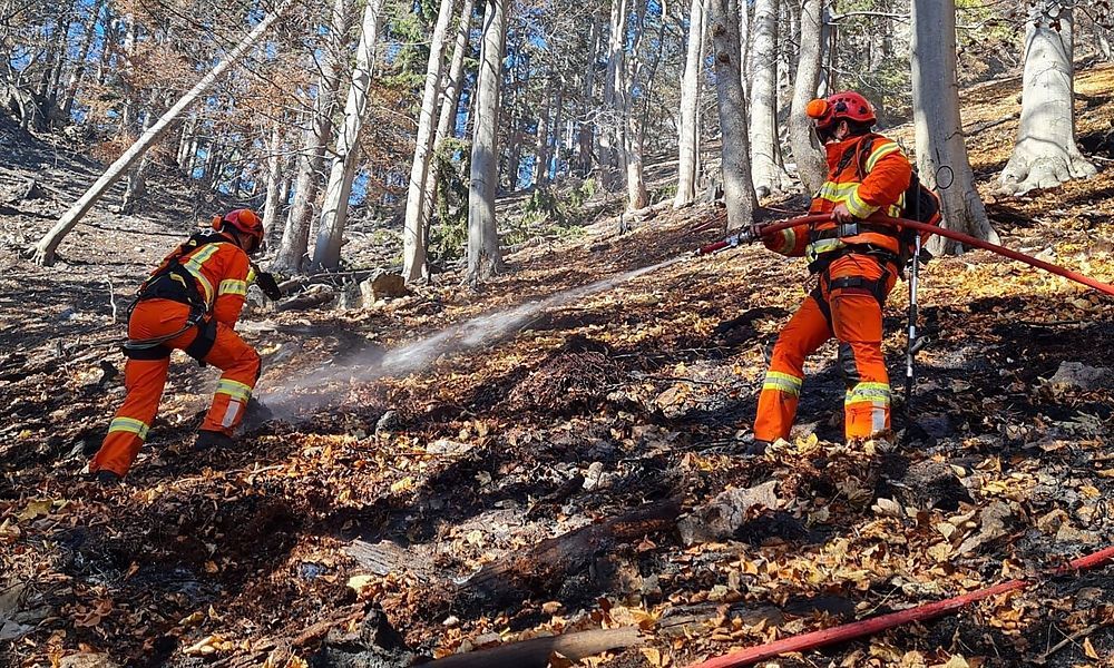 Suche nach Verursacher des Waldbrands