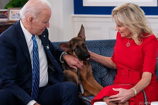 Bidens und &#8220;First Dog&#8221; Commander: Weihnachtsgrüße an Militär