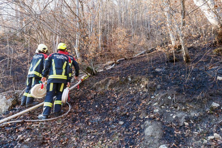In Außerbraz führte vergangene Woche ein Waldbrand zu einem Großeinsatz. <span class="copyright">Bernd Hofmeister</span>