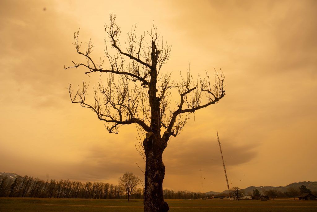 Saharasand färbt den Himmel gelb