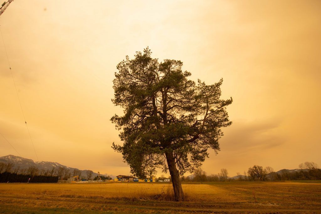 Saharasand färbt den Himmel gelb