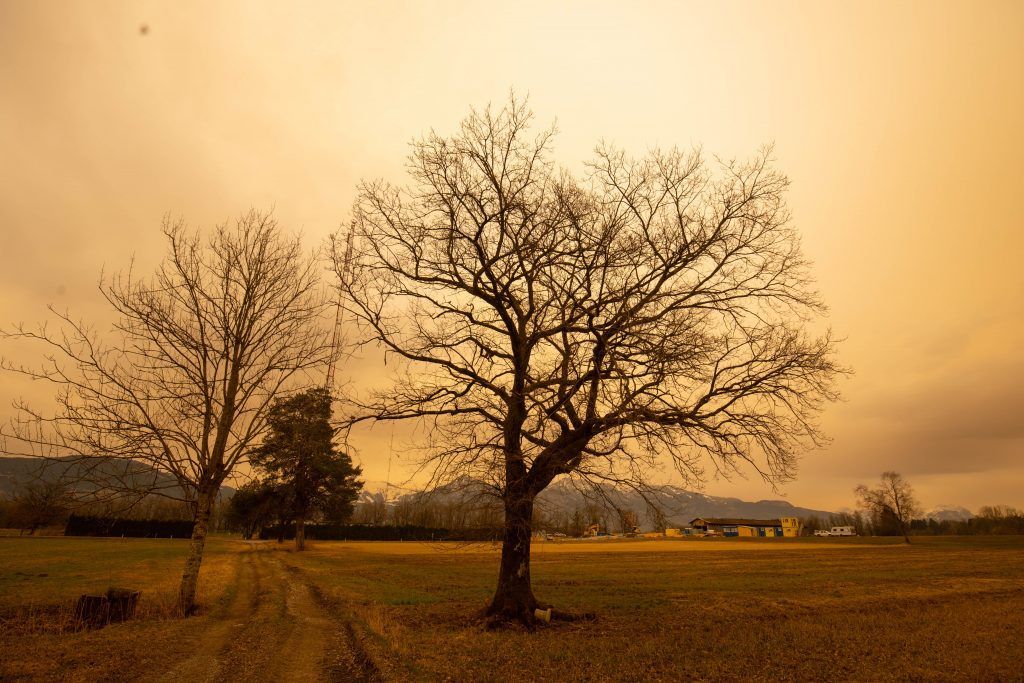Saharasand färbt den Himmel gelb