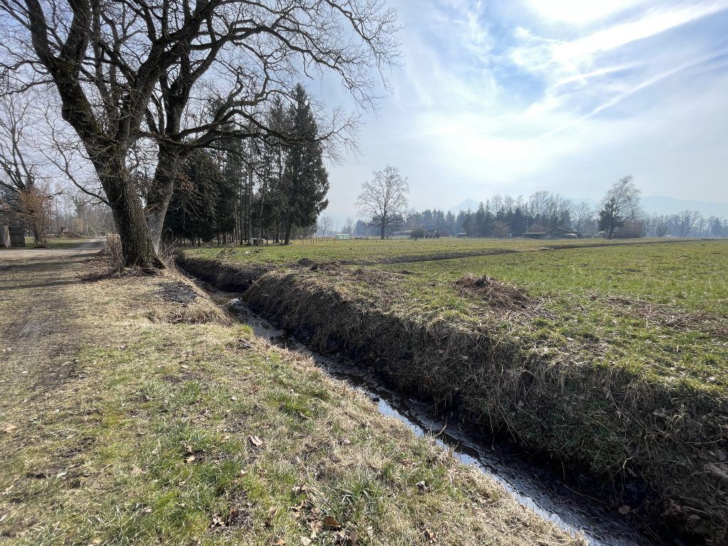 Neue Details zur toten Frau im Ried