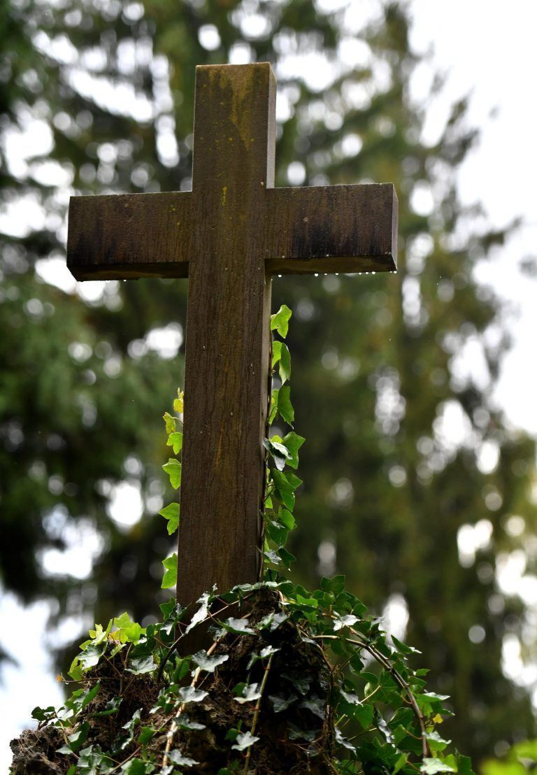 Symbolbild<span class="copyright"> APA/Barbara Gindl</span>