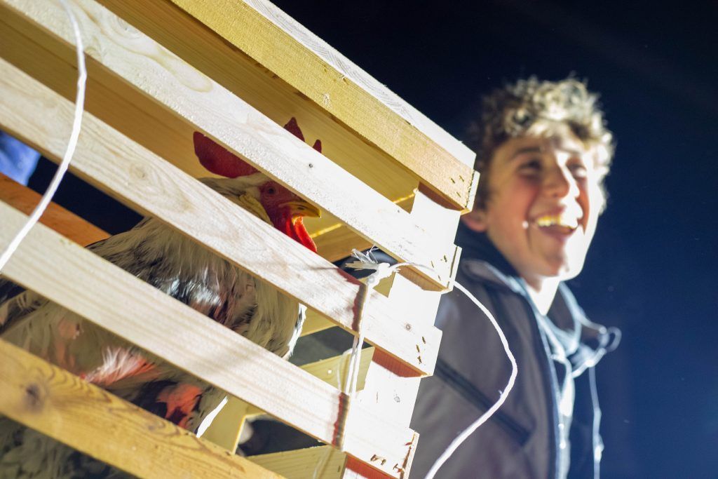 Wenn in der Osternacht die Hähne krähen