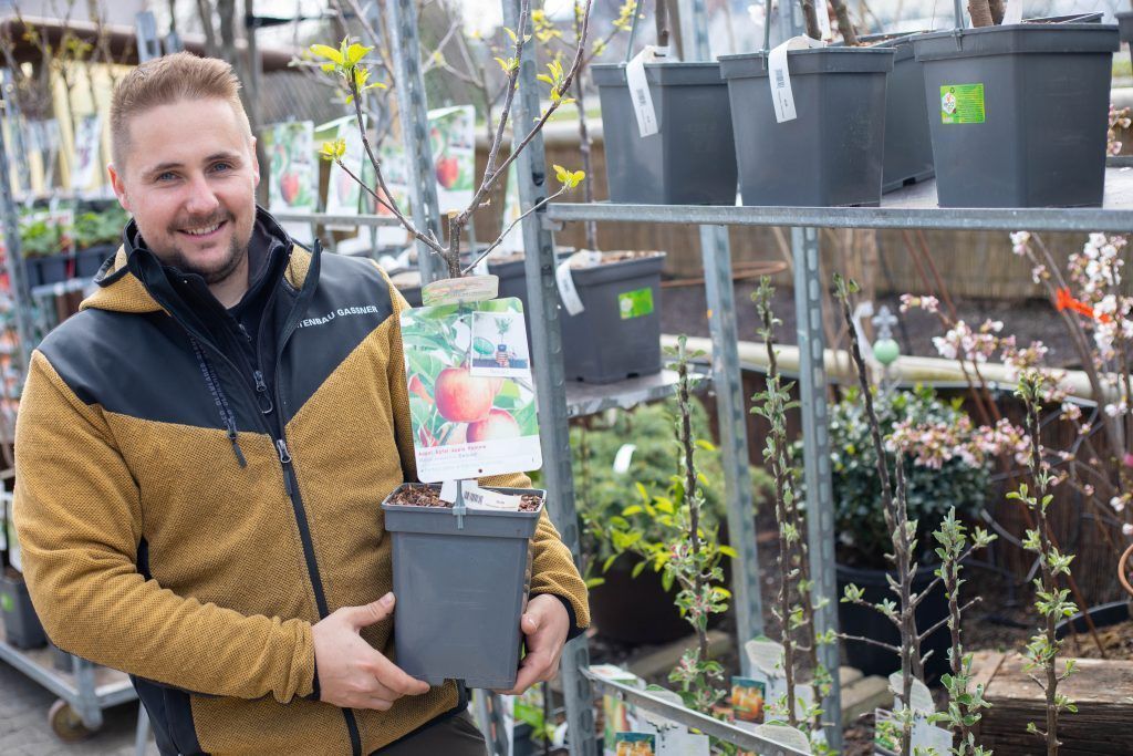 Bäume bieten Artenschutz