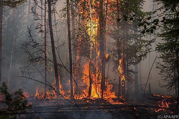 Waldbrände in Sibirien bedrohen erste Ortschaften