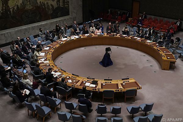 UNO-Sicherheitsrat beschloss erstmals Ukraine-Erklärung