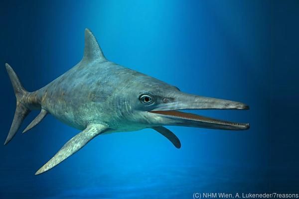 Paläontologen fanden jüngste Austro-Fischsaurier