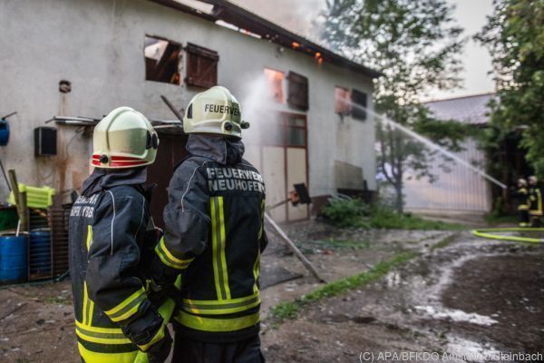 Zehn Kälber bei Großbrand im Bezirk Amstetten gerettet