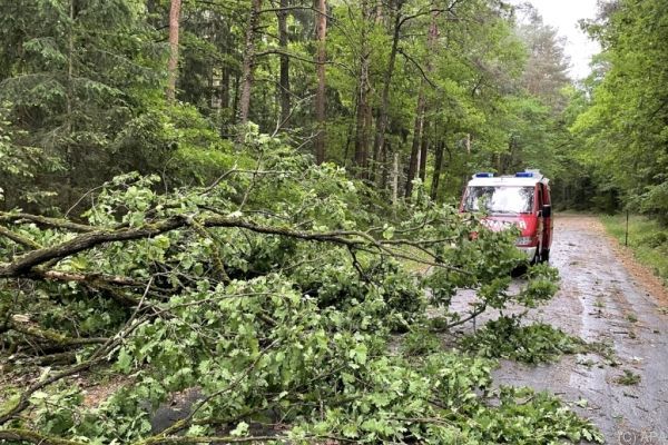 Unwetter forderte Einsatzkräfte im Burgenland und in NÖ