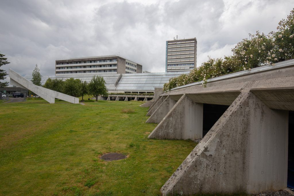 Aus sieben Spitälern wird       ein Campus