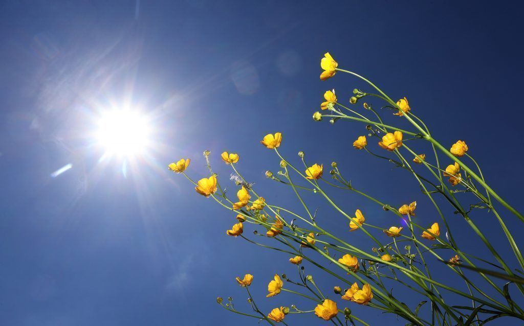 Neue Woche startet mit viel Sonnenschein