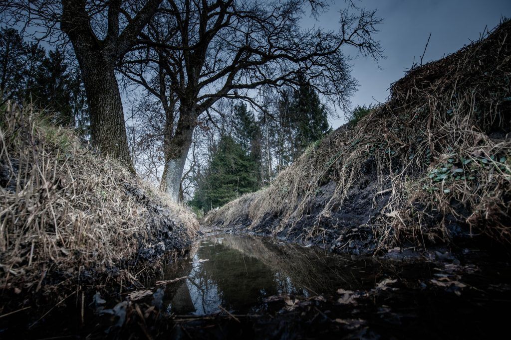 Mordfall Janine G.: Überraschende Enthaftung