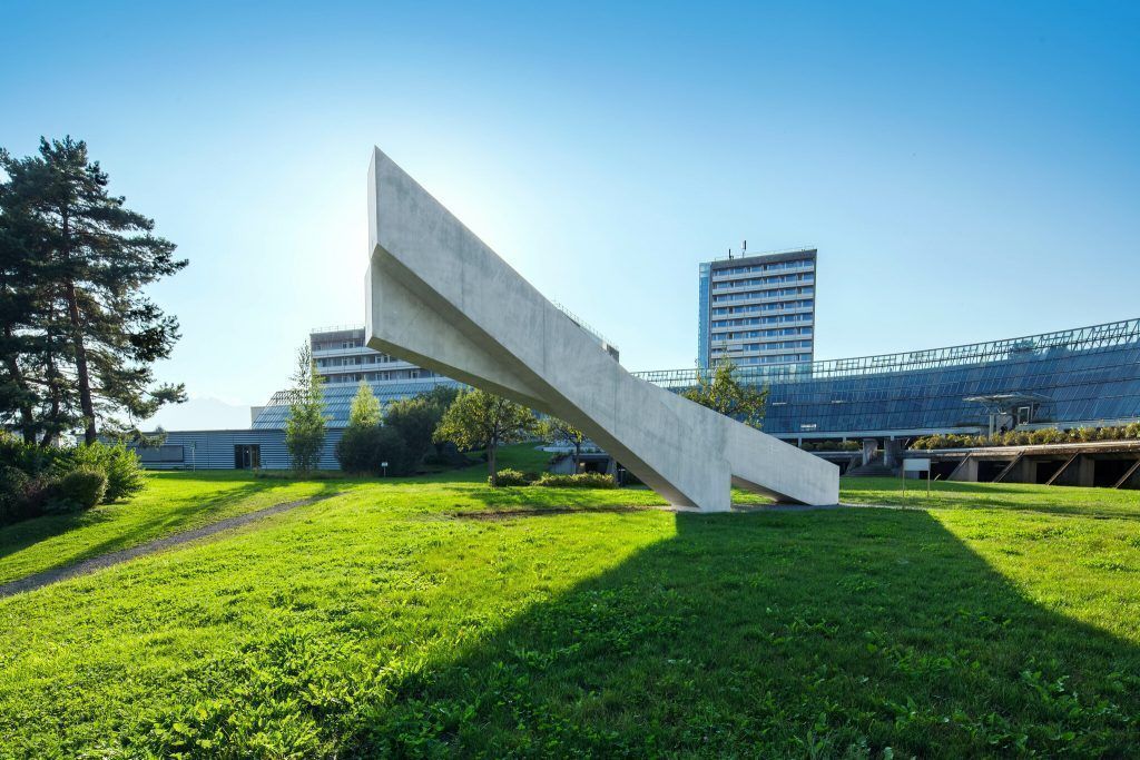 Facharzt verschuldet Tod seines Patienten