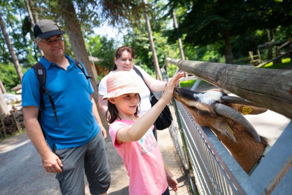 Wildpark:Spendenrekord, aber weniger Geld vom Land