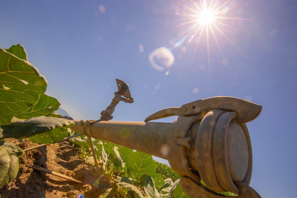 Wetterexperten zogen über den Juli Bilanz