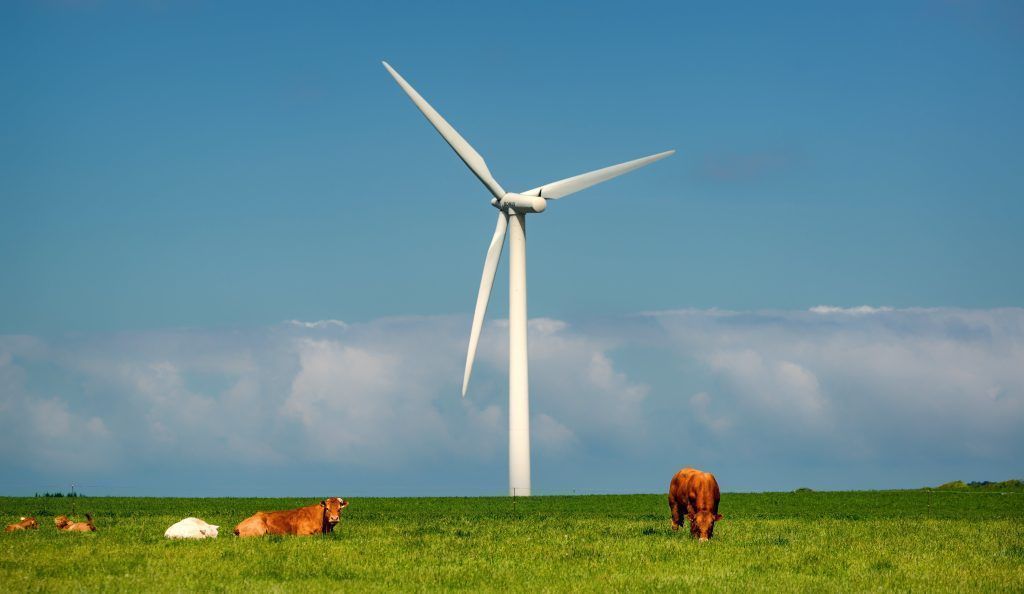 Land lässt den Wind wieder einmal prüfen