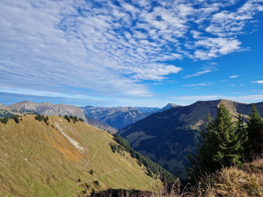 Sieben Alpen, vier Bäche und ein Gipfel