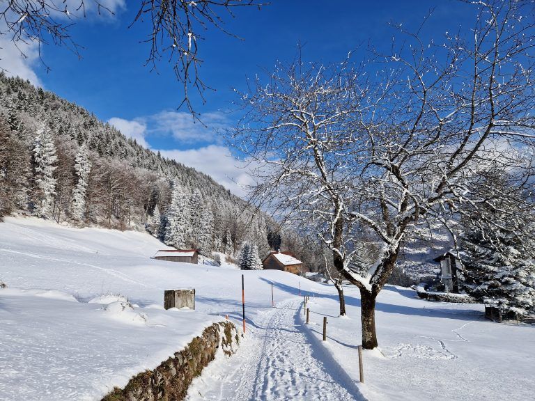 Der Stampfweg. <span class="copyright">Gerhard Vylet</span>