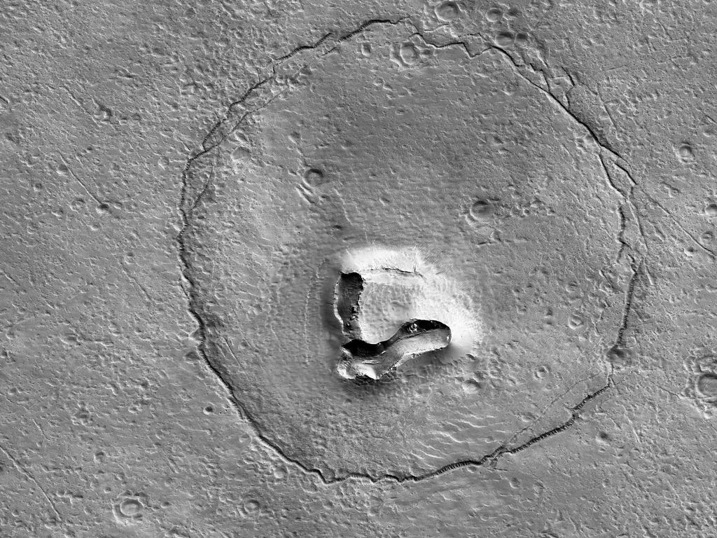 Bären und Pyramiden auf fremden Planeten