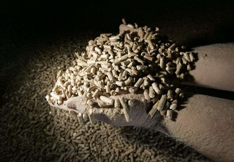 In Heizpellets laufen auch nach der Produktion noch teilweise chemische Prozesse ab – im Normalfall ist das aber nicht gefährlich.                 <span class="copyright">AP/Thomas Kienzle</span>