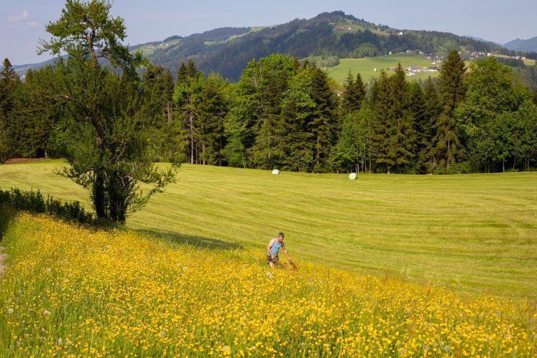 Grund und Boden ist ein endliches Gut und daher entsprechend begehrt. <span class="copyright">Hartinger</span>