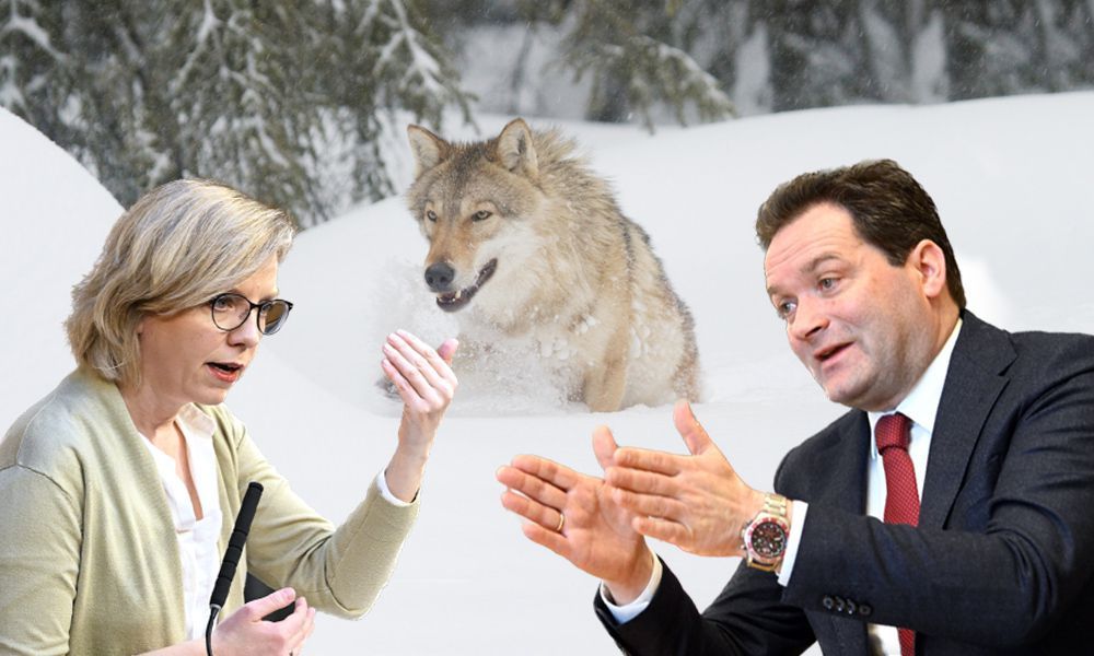 Streit um den Wolf erreicht höchste politische Ebenen