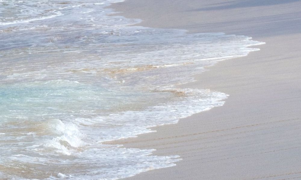 Australischer Tourist starb bei Haiattacke