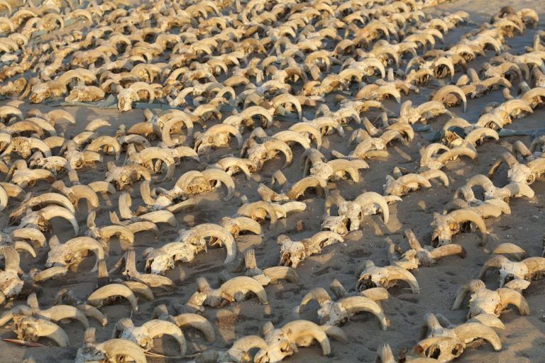 <span class="copyright"></span><span class="copyright"></span>Die Widderköpfe stehen für "Opfergaben", die für einen Verehrungskult von Pharao Ramses II. hindeuten.<span class="copyright">(C) The Egyptian Ministry of Antiquities/Handout via REUTERS</span>