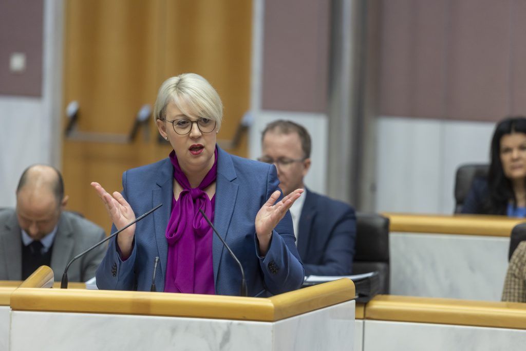 Neos: Schwarz-Grün stimmt gegen eigenes Programm