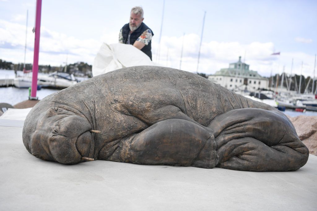 Oslo enthüllt Denkmal für eingeschläfertes Walross