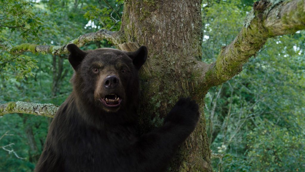 Ein Bär auf dem Horror-Trip