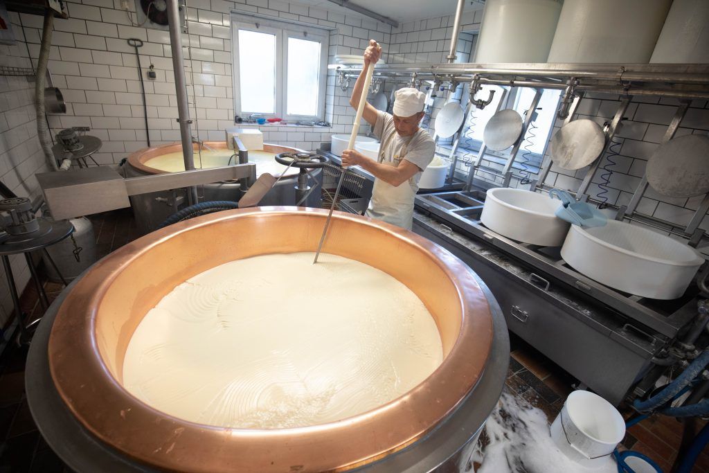 So macht ein Maruler Senn aus Bio-Milch Käse