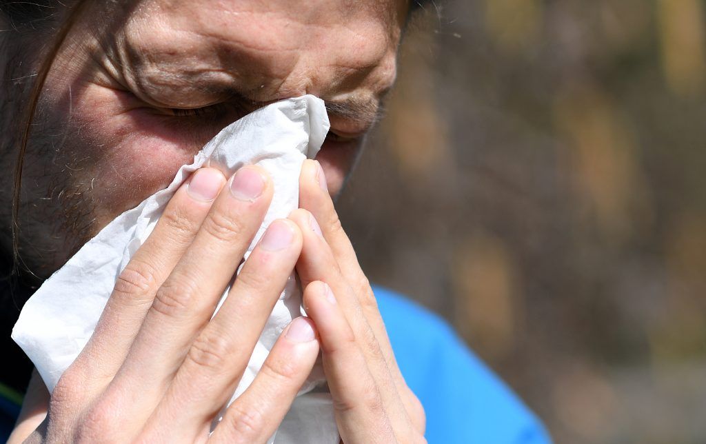 Alle Jahre wieder: Das Elend mit den Pollen