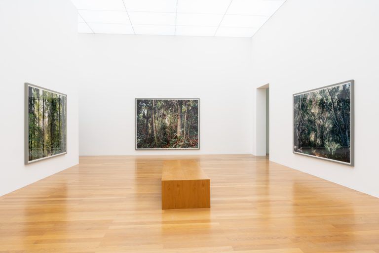 Fotografien von Thomas Struth. <span class="copyright">Sandra Maier/Kunstmuseum Liechtenstein</span>