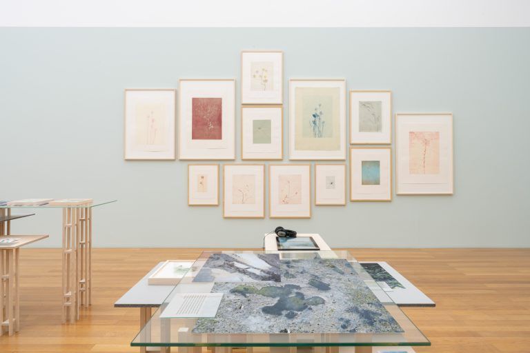 Einblick in "Parlament der Pflanzen II" <span class="copyright">Sandra Maier/Kunstmuseum Liechtenstein</span>