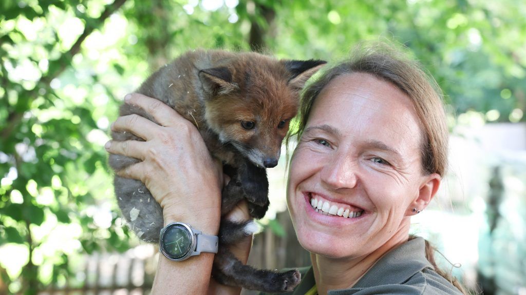Wildpark: Süßer Nachwuchs, große Geldsorgen