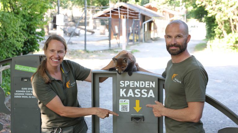 Der Wildpark verlangt keinen Eintritt und ist deshalb auf Spenden angewiesen. <span class="copyright">Hartinger, Wildpark</span>