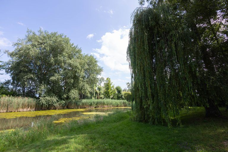 Wer bei den Schleienlöcher heiraten will, braucht eine Genehmigung der Gemeinde. <span class="copyright">Hartinger</span>