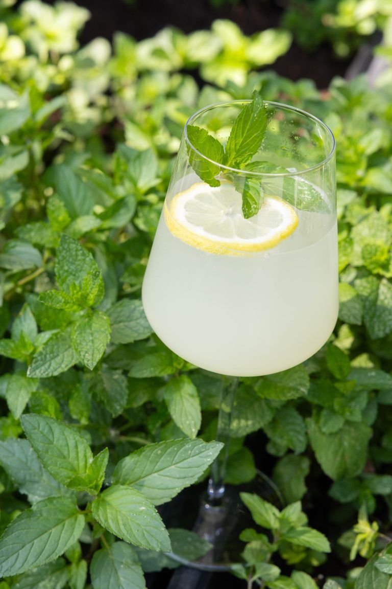 Der Limoncello-Spritz. <span class="copyright">Hartinger</span>