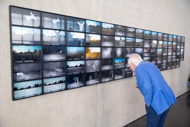 Fotorafien von Jermolaewas „Chernobyl Safari“. <span class="copyright">Klaus Hartinger</span>