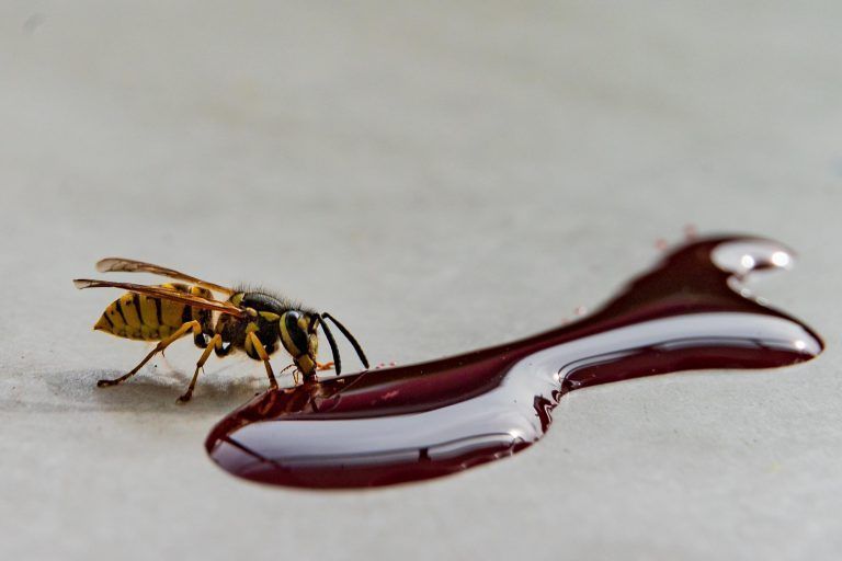 Menschen reagieren auf Stiche mit einer Gift- oder einer allergischen Reaktion. <span class="copyright">stiplovsek </span>