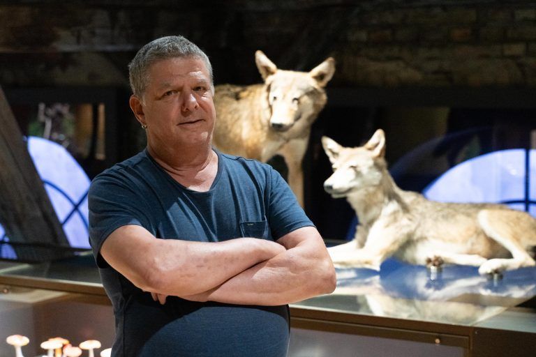 In Österreich ist (begrenzt) Platz für Wölfe und Bären, sagt Klaus Zimmermann. <span class="copyright">Stiplovsek</span>