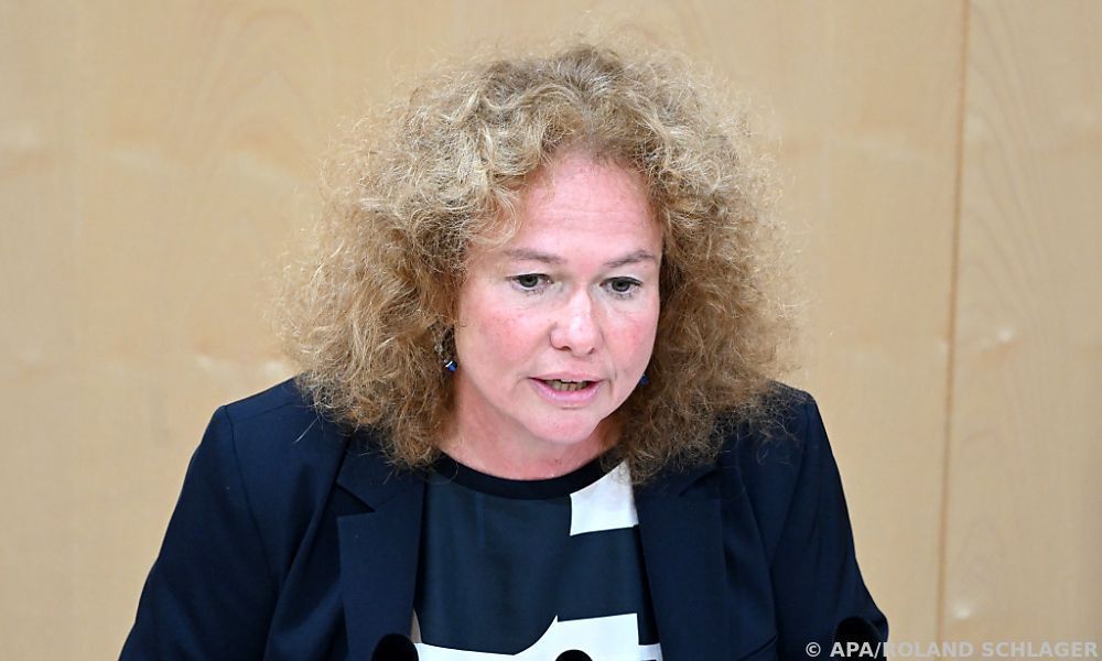 Grüne haben bei &#8220;Sky Shield&#8221; keine Bedenken