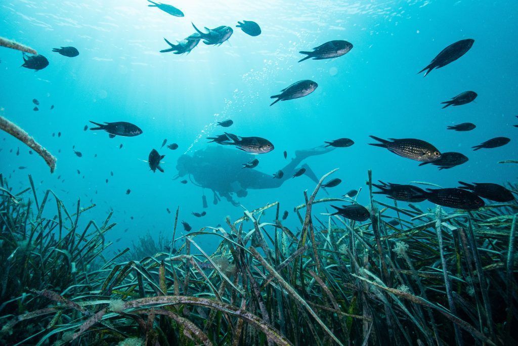 Höchste Temperatur im Mittelmeer