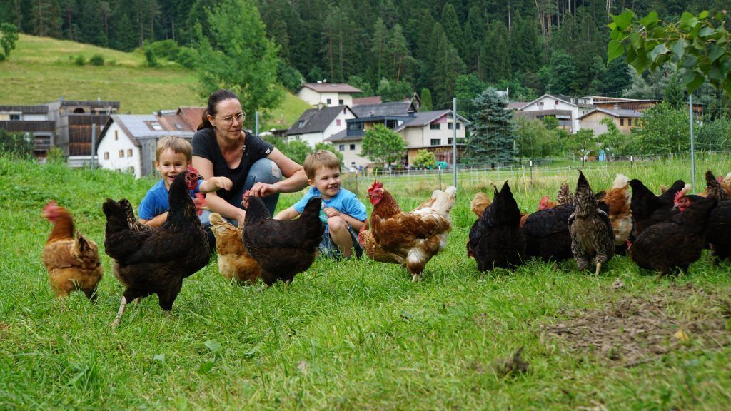 Spontan ein Gulasch im Hofladen holen