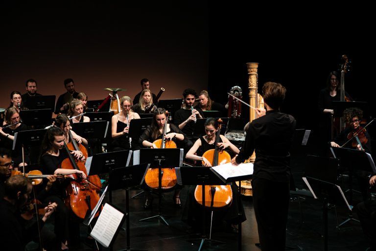 Die Camerata Musica Reno in Aktion. <span class="copyright"> Franziska Hehle</span>