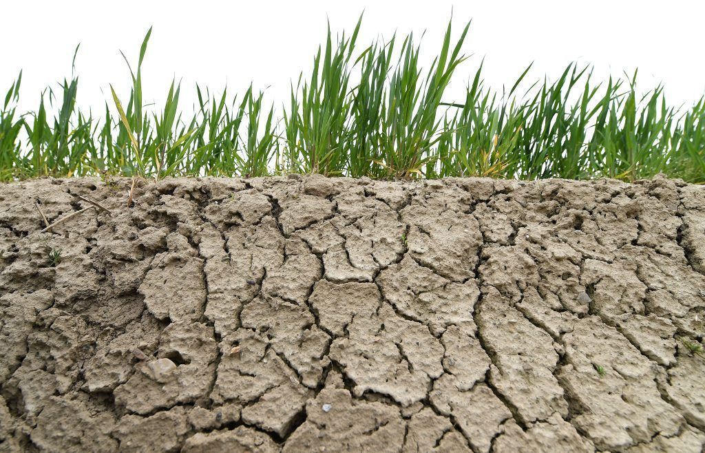Zwei Drittel sehen Klimawandel als &#8220;sehr ernstes Problem&#8221;